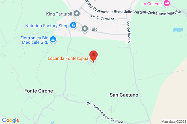 FAUNO di Simone Rapagnani