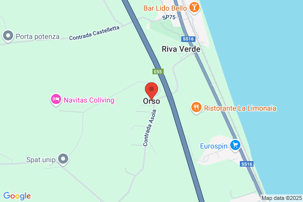 Ristorante Orso Di Orso Dante C. S.N.C.