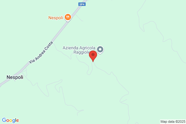 Pagnotta antonia