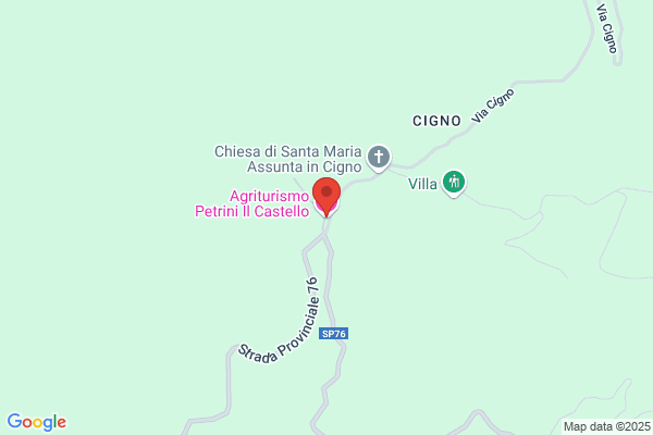 Petrini paolino
