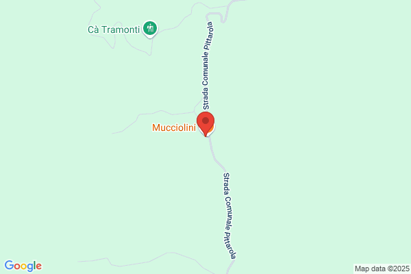 Ristorante Mucciolini