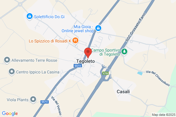Forno Moretti Tegoleto