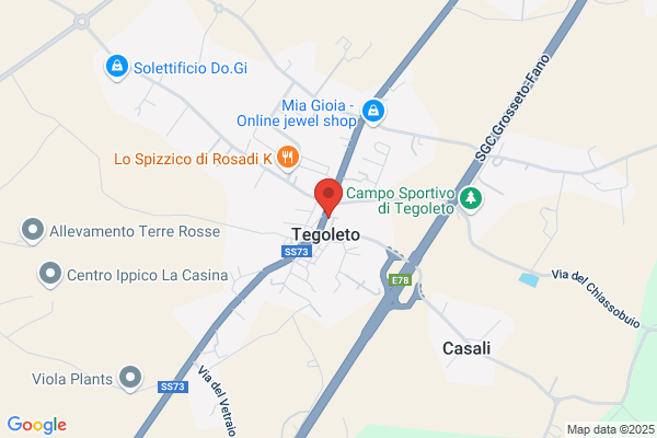 Merelli Alessandro