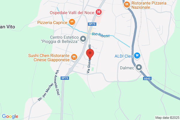 Menapace dario