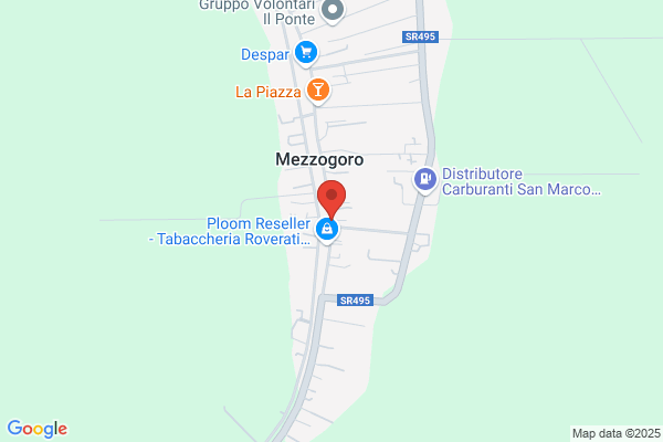 Modena Erika