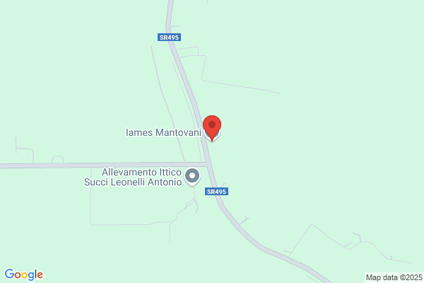 Mantovani iames