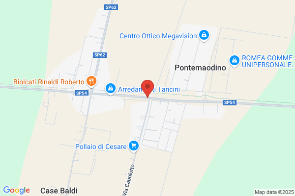 Veronesi vincenzina