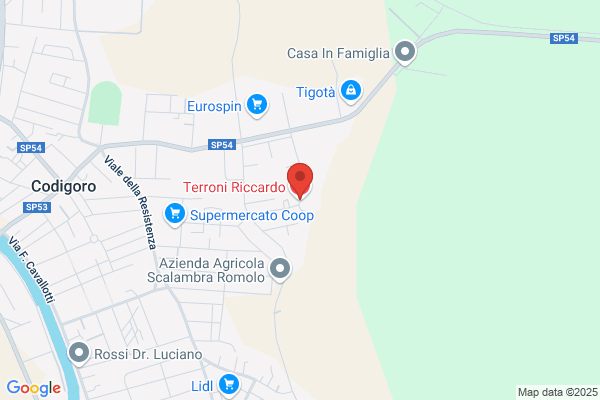 Terroni riccardo