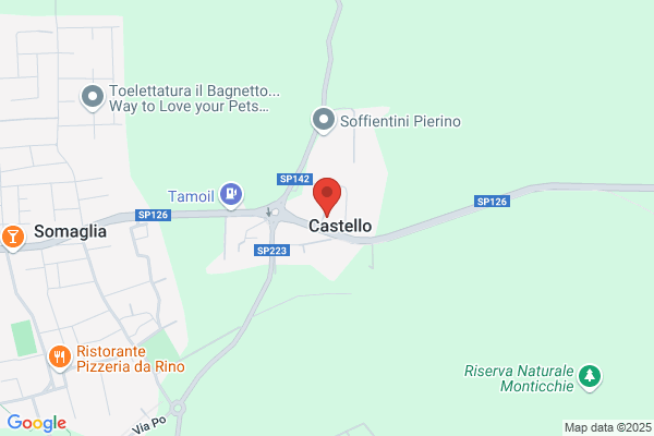 Medaglia pietro (Rag.)