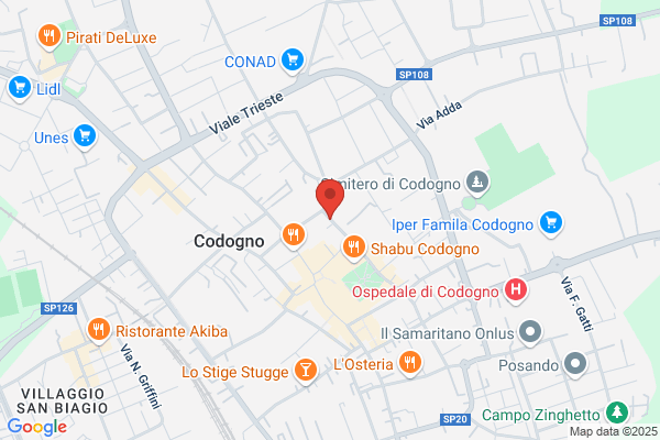 Meazza torquato (Dr.)