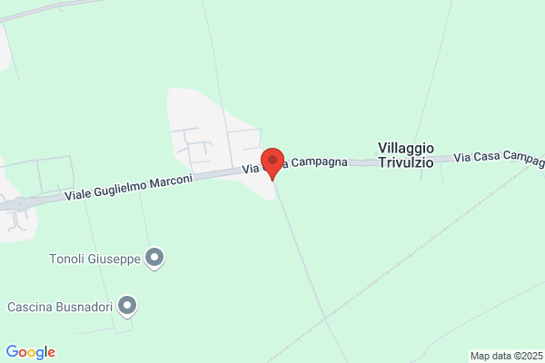 Maculotti fulvia