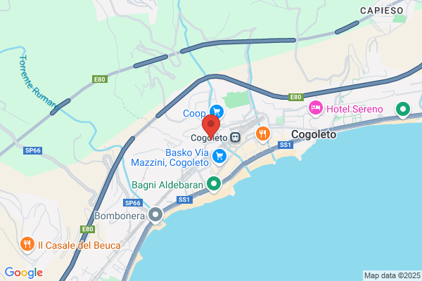 Patrone ida