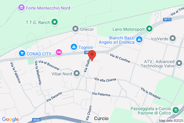 Vienne Costruzioni Spa