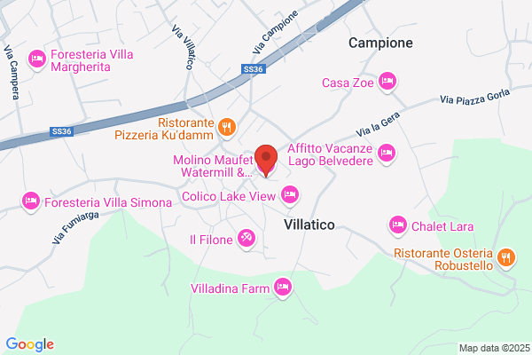 Moiola rino