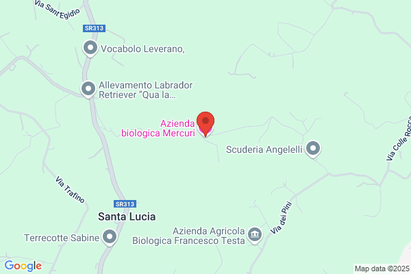 Mercuri ermanno