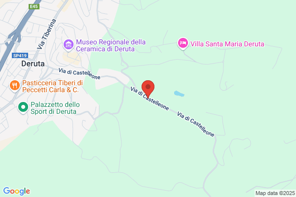 Il Pino S.N.C.