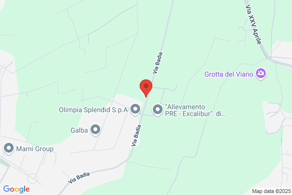 Leonessa Disinfestazione - Impresa di Pulizie