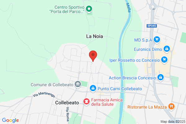 Rizzini
