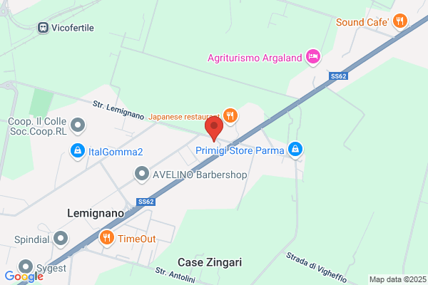 Avvocato Annamaria Vizzolesi