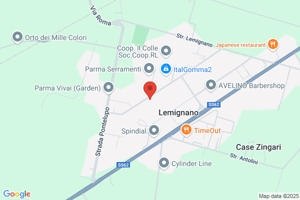 B.Z.B. Organizzazione Srl