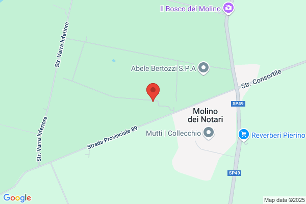Simda Agricola Immobiliare S.P.A.