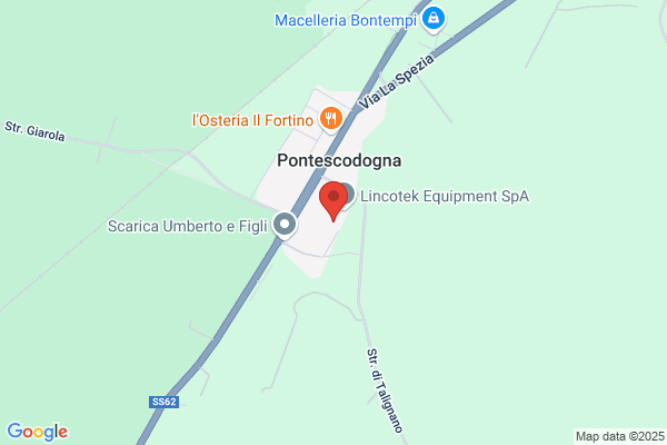 Loi Damiano