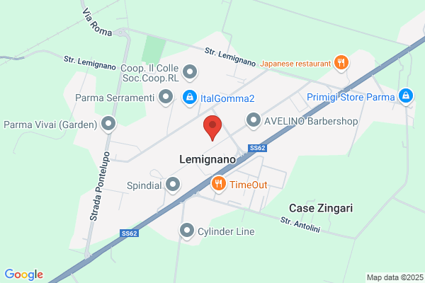 Zazzi luigi