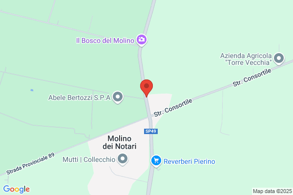 Molini Figna S. P. A.