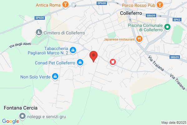 In.Co Sas Di Ventrone
