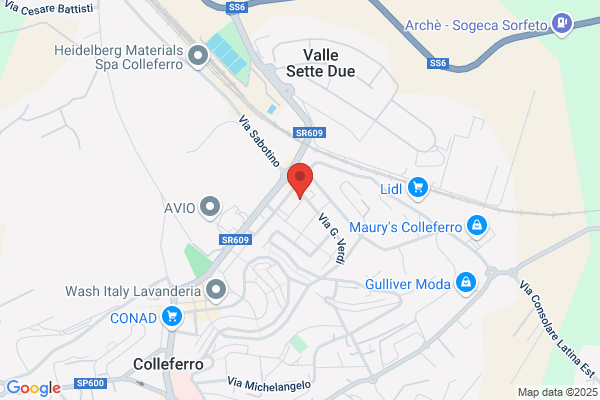 Ristorante Pizzeria Estro