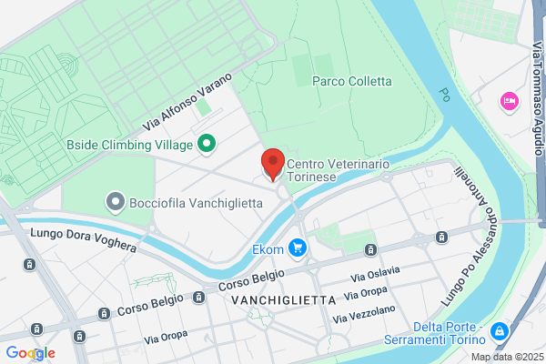 Centro Veterinario Torinese S.R.L.