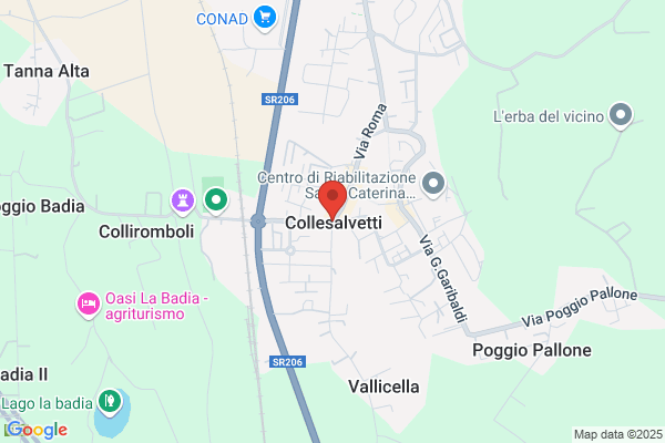 Livorno Immobiliare Sas Di Ugo Caponi & C.