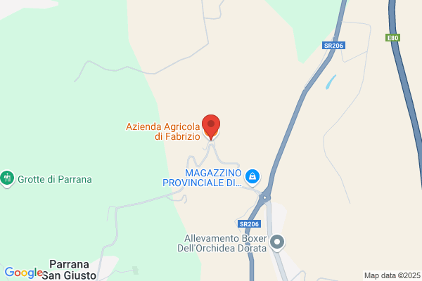 Fernandez Affricano Fabrizio