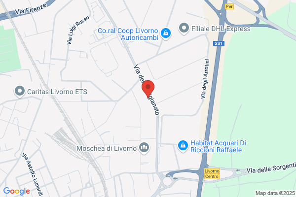 ITALIANA ASSICURAZIONI Livorno Picchianti
