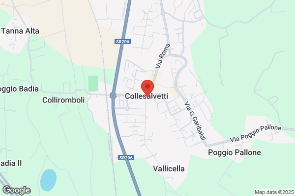 Pellicci gabriella