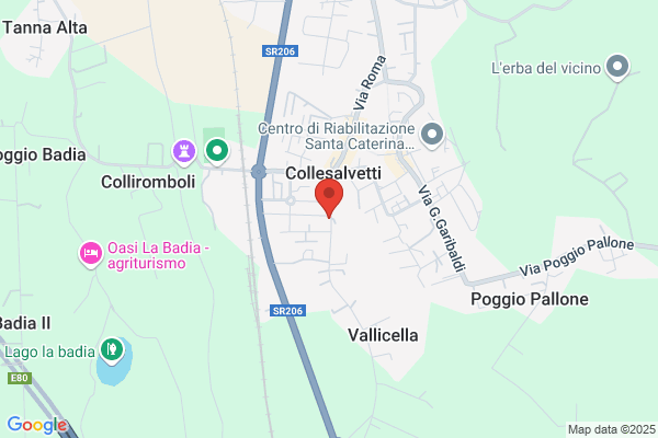 Servizio Volontario Di Soccorso