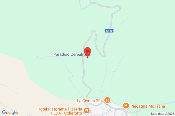 Paradiso alfonso