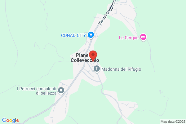 Placidi cristina