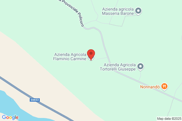 Falciglia Salvatore