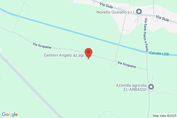 Gentilin  Angelo
