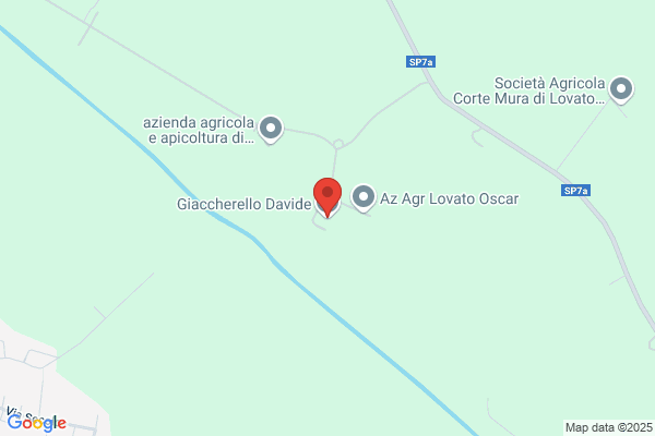 Giaccherello Davide