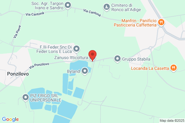Zanuso giorgio