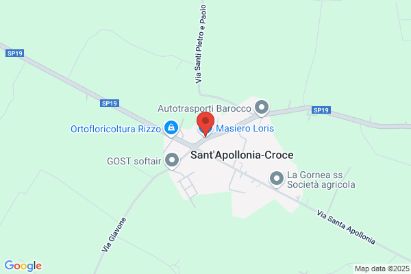 Masiero loris