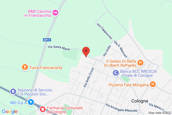 Festa Federico