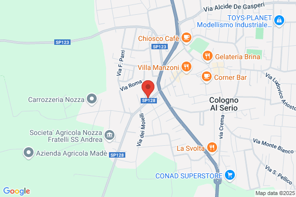 Leoni carlo