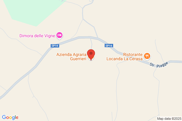 Guerrieri Rosa