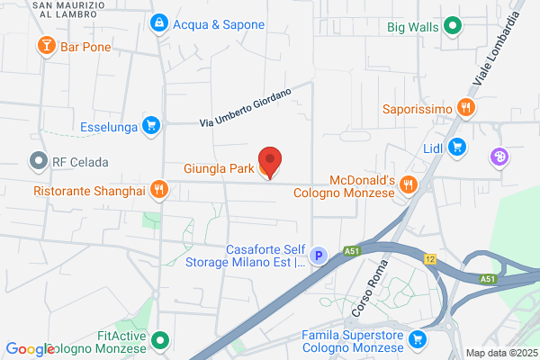 Giungla In Citta