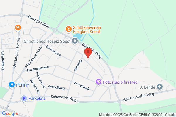 Steelflex