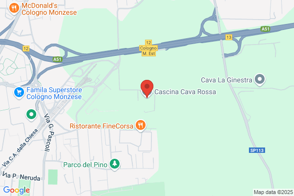 Vavassori tersilio