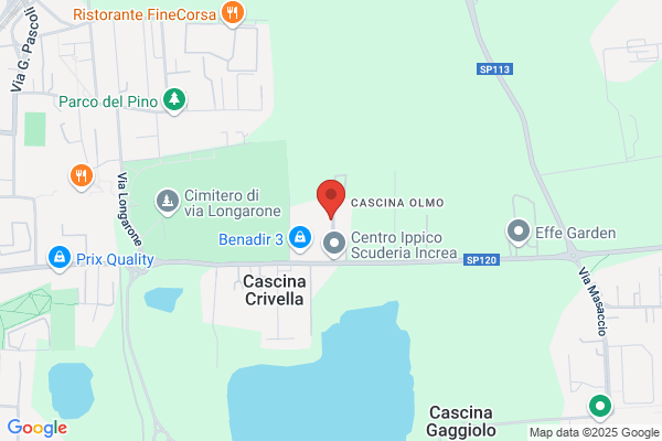 Festi Giorgio